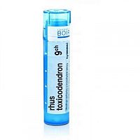 Rhus Toxicodendron gra.1x4g 9CH
