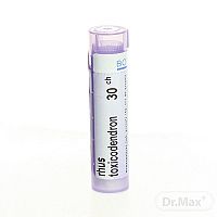 RHUS TOXICODENDRON GRA HOM CH30 1x4 g