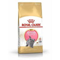 Royal Canin British Shorthair Kitten 2 kg