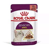 Royal Canin Feline Sensory Smell gravy 85 g