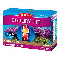 Terezia Company Klouby fit 60 cps.