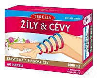 TEREZIA ŽILY & CIEVY cps 1x60 ks