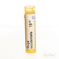 THUYA OCCIDENTALIS GRA HOM CH15 1x4 g