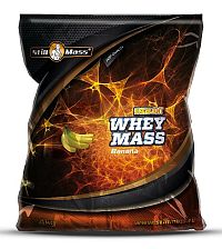 Excelent Whey Mass - Still Mass 