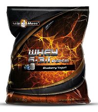 Whey 6:3:1 Peptid - Still Mass 2500 g Chocolate