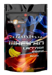 Whey 80 Lactose Free - Still Mass  1000 g Vanilla