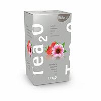 Biogena Tea2O Jahoda & Echinacea 20 vrecúšok