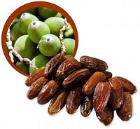 Lifefood Datle sušené bez kôstok BIO 1000g