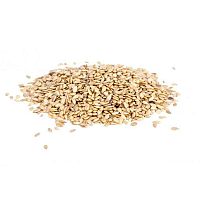 Lifefood Sezam nelúpaný BIO 1000g