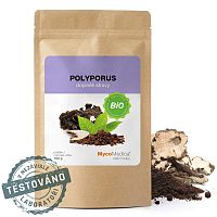 MycoMedica Polyporus prášok BIO 100 g