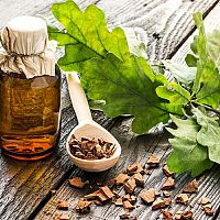 Dubová kôra – účinky, cena, použitie na pleť, nohy, sedací kúpeľ, proti hnačke