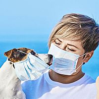 Koronavírus: Môžu nákazu dostať a šíriť domáci miláčikovia?