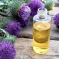 Bodliakový olej na pečeň i vlasy – cena, účinky, použitie, skúsenosti