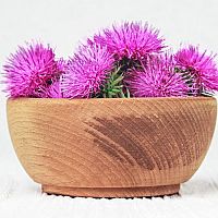 Silymarín – účinky na chudnutie, pečeň, detoxikáciu, skúsenosti a cena