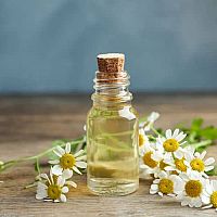 Harmančekový pleťový a esenciálny olej – účinky, skúsenosti, recept