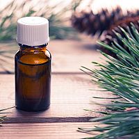 Jedľový olej – zloženie a účinky na vlasy, pleť a zdravie