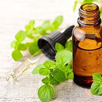 Oreganový olej – účinky, užívanie, dávkovanie, ceny