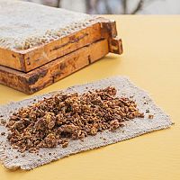 Propolis a propolisová tinktúra – aké sú ich účinky na zdravie?