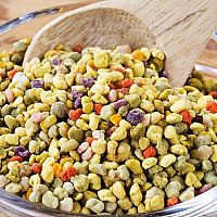 Včelí peľ pozitívne vplýva na ľudské zdravie i psychiku