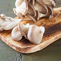 Hliva ustricová nielen pre deti – účinky, užívanie v tehotenstve, na imunitu