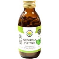 Salvia Paradise Gotu kola kapsuly