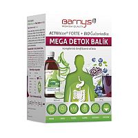 BARNY'S ActivValoe forte+BIO čučoriedka mega detox gél 500 ml + ovocné vločky, vrecúška 7x8 g