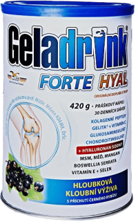 Orling Geladrink Fast nápoj černý rybíz 420 g