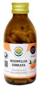 Salvia Paradise Boswellia serrata 120 kapsúl