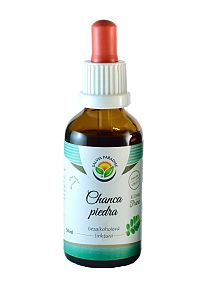 Salvia Paradise Chanca piedra AF tinktúra 50 ml