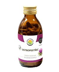 Salvia Paradise Pestrec mariánsky bylinné kapsle 120 ks