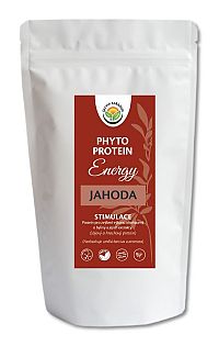 Salvia Paradise Phyto Protein Energy 300 g