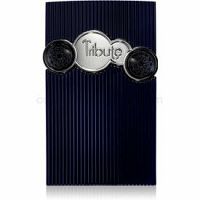 Afnan Tribute parfumovaná voda pre mužov 100 ml