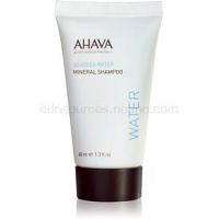 Ahava Dead Sea Water minerálny šampón 40 ml