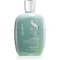 Alfaparf Milano Semi Di Lino Scalp Renew energizujúci šampón pre jemné, rednúce a krehké vlasy 250 ml