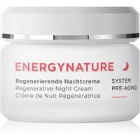 AnneMarie Börlind Energynature nočný regeneračný krém  50 ml