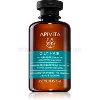 Apivita Peppermint & Propolis šampón pre mastnú vlasovú pokožku 250 ml