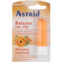 Astrid Lip Care regeneračný balzam na pery s nechtíkom lekárskym 4,8 g