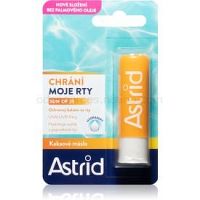 Astrid Sun ochranný balzam na pery SPF 25 4,8 g