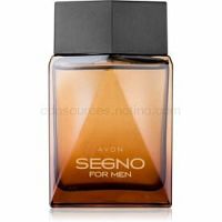 Avon Segno parfumovaná voda pre mužov 75 ml  