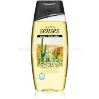 Avon Senses Cactus Ridge sprchový gél na telo a vlasy pre mužov 250 ml