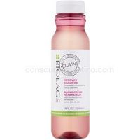 Biolage RAW Recover regeneračný šampón pre oslabené vlasy 325 ml