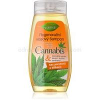 Bione Cosmetics Cannabis regeneračný šampón 260 ml