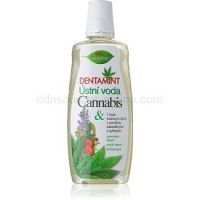 Bione Cosmetics Dentamint ústna voda mentol 500 ml