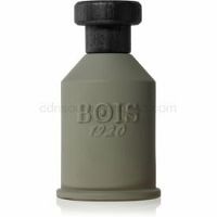 Bois 1920 Itruk parfumovaná voda unisex 100 ml