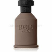 Bois 1920 Nagud parfumovaná voda unisex 100 ml