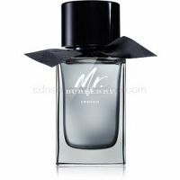 Burberry Mr. Burberry Indigo toaletná voda pre mužov 100 ml