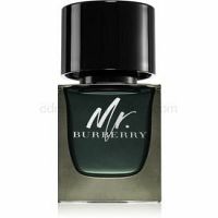 Burberry Mr. Burberry Parfumovaná voda pre mužov 50 ml