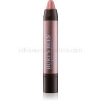 Burt’s Bees Glossy Lip Crayon rúž s vysokým leskom v ceruzke odtieň 401 Outback Oasis 2,83 g