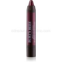 Burt’s Bees Glossy Lip Crayon rúž s vysokým leskom v ceruzke odtieň Bordeaux Vines 2,83 g