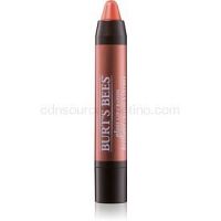 Burt’s Bees Glossy Lip Crayon rúž s vysokým leskom v ceruzke odtieň Santorini Sunrise 2,83 g